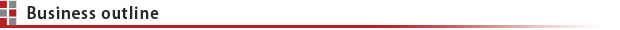 Business outline